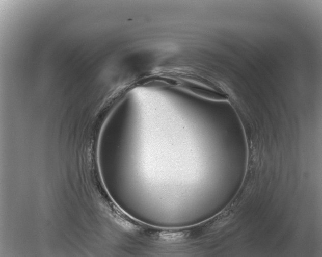 X0000080130357200612151744