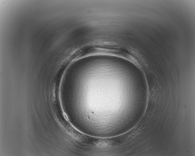 X0000080130358200612151744