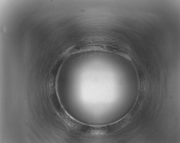 X0000080130360200612151744