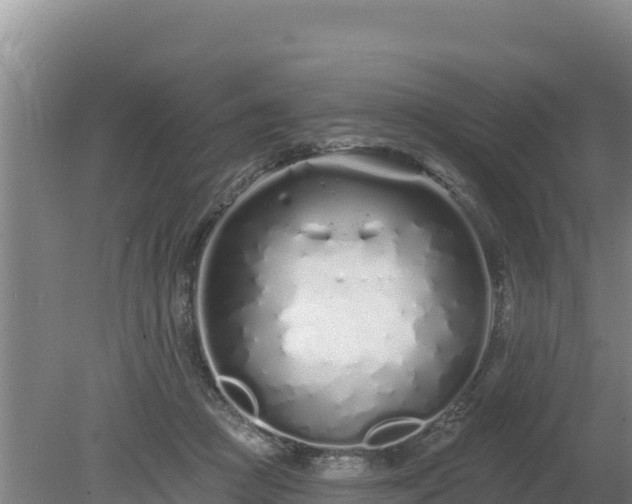 X0000080130361200612151744