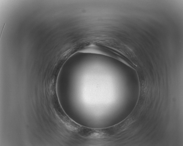 X0000080130364200612151744