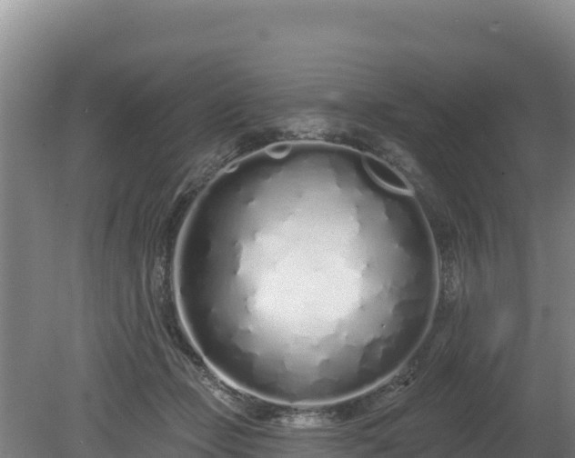 X0000080130365200612151744