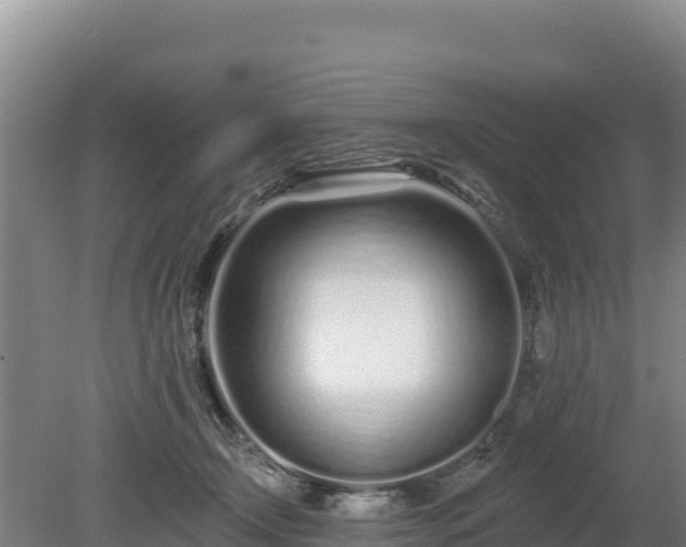 X0000080130366200612151744