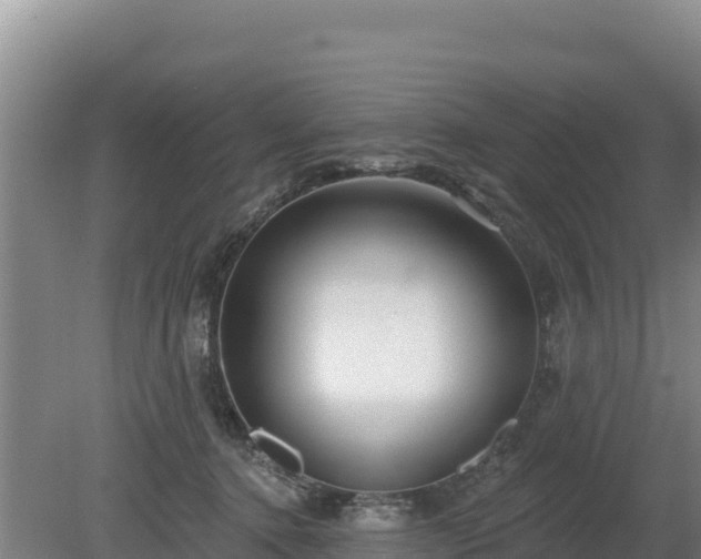 X0000080130368200612151744