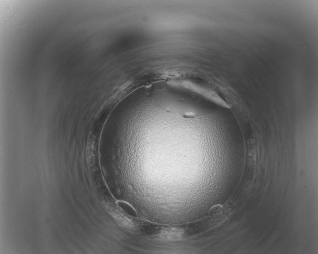 X0000080130369200612151744