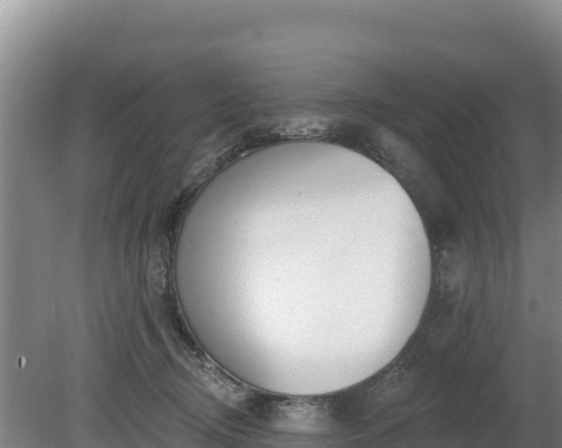 X0000080130370200612151744