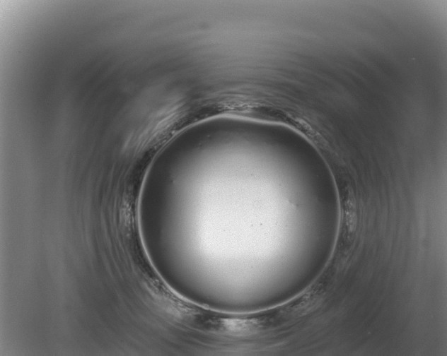 X0000080130371200612151744