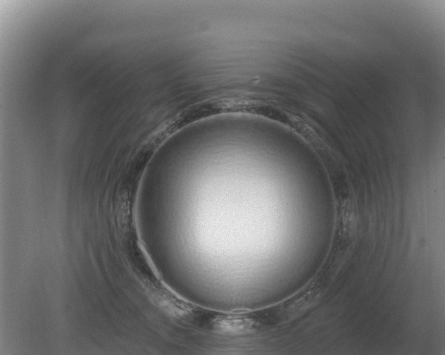 X0000080130372200612151744