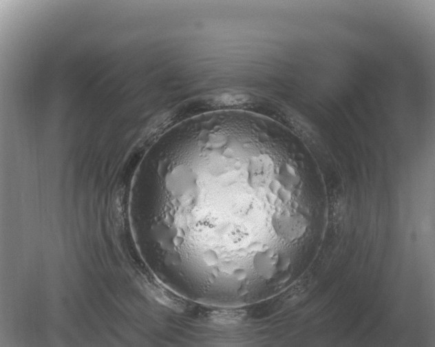 X0000080130373200612151744