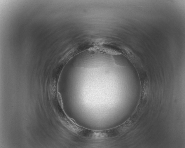 X0000080130376200612151745