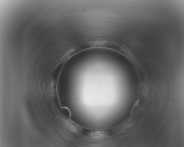 X0000080130378200612151745