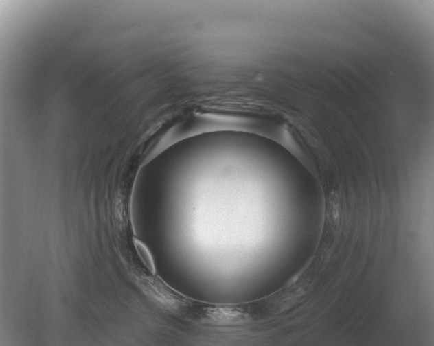 X0000080130380200612151745