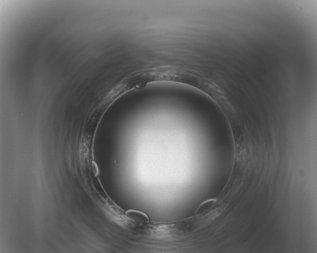 X0000080130382200612151745