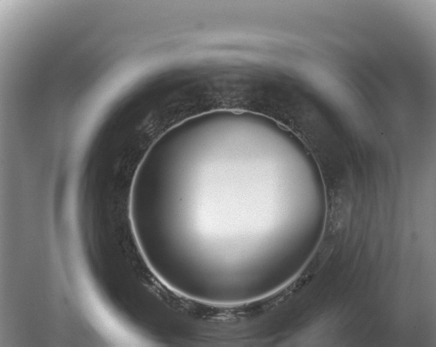 X0000080130383200612151745