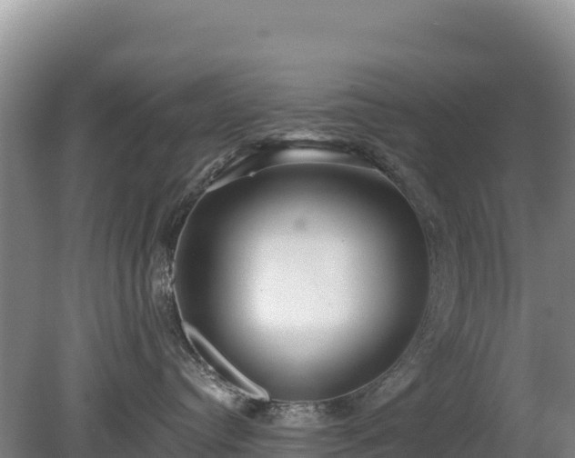 X0000080130384200612151745