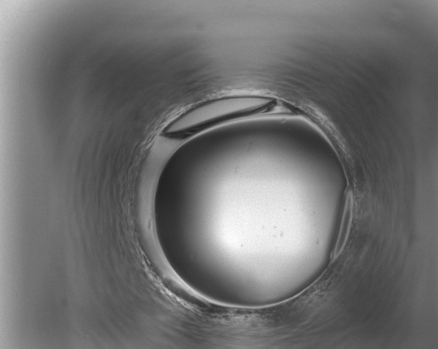 X0000080130385200612151744