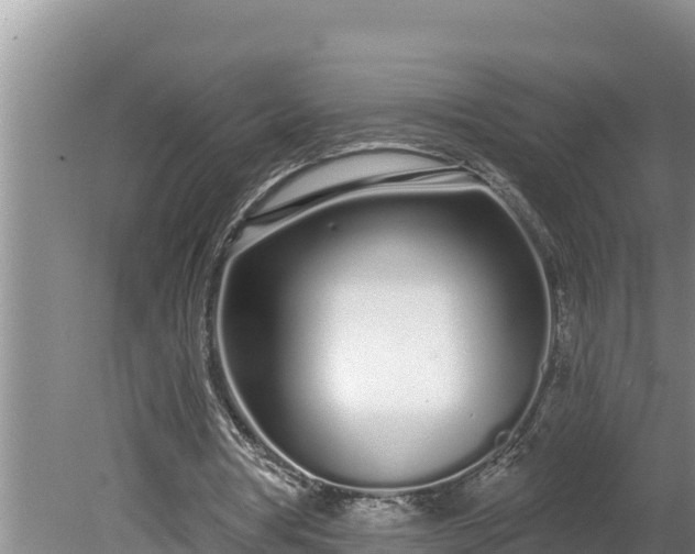 X0000080130386200612151744