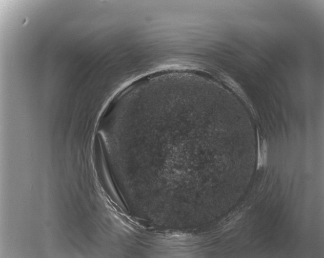 X0000080130387200612151744