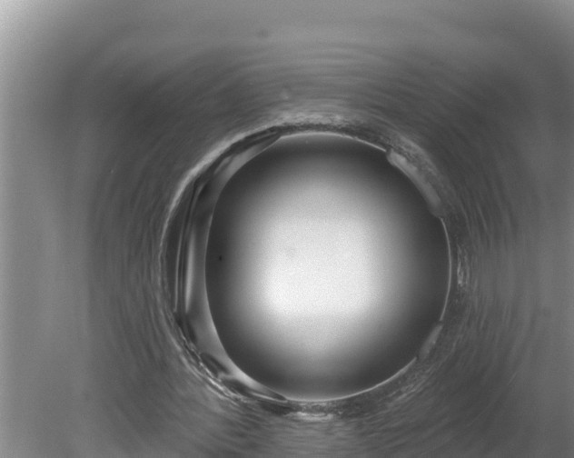 X0000080130388200612151744