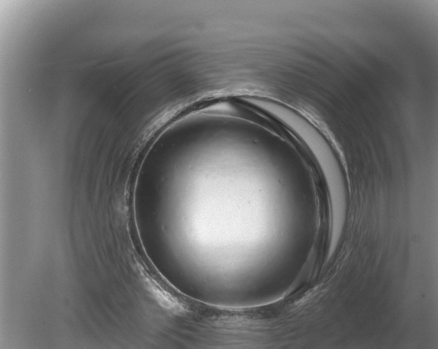 X0000080130389200612151744