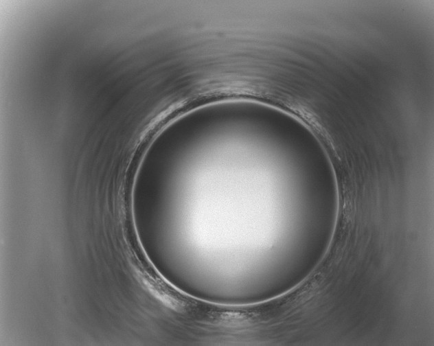 X0000080130390200612151744