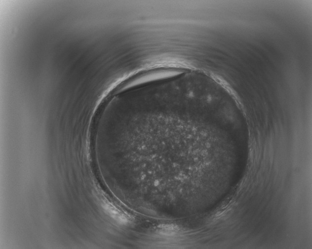 X0000080130391200612151744