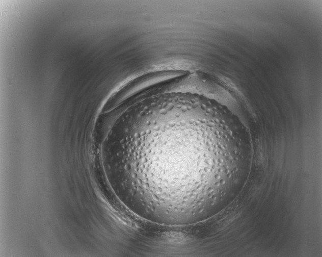 X0000080130392200612151744