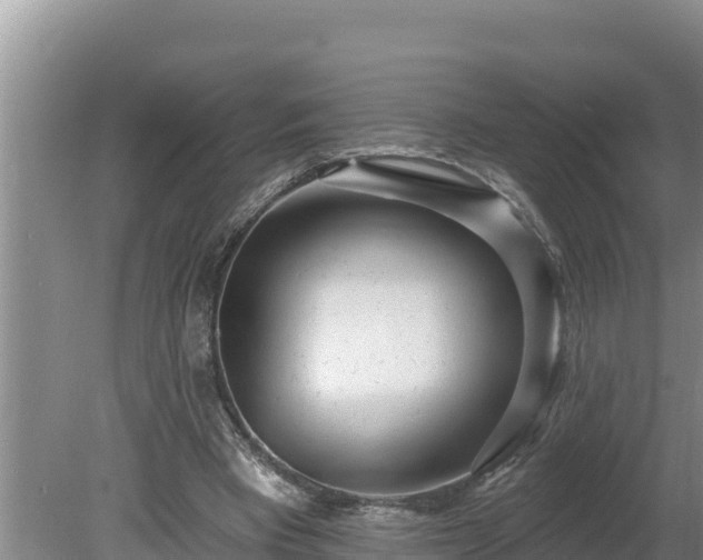 X0000080130393200612151744