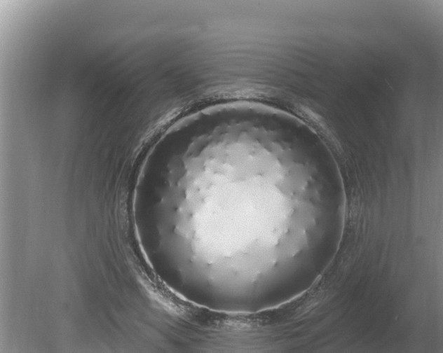 X0000080130394200612151744