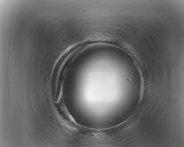 X0000080130395200612151744