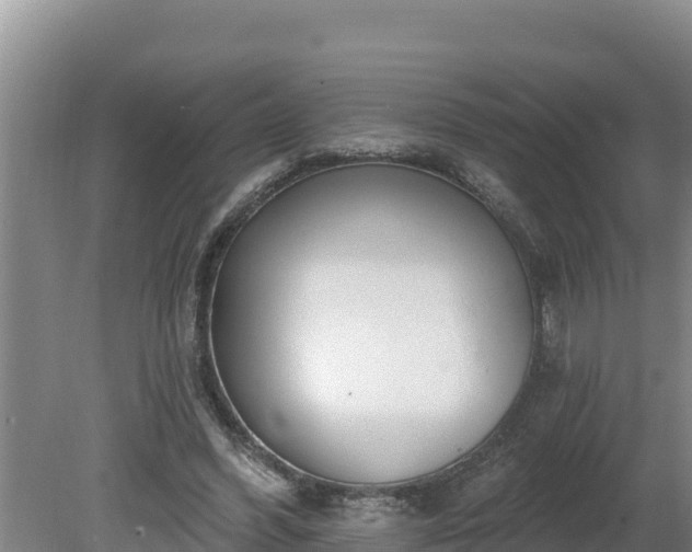 X0000080130396200612151744