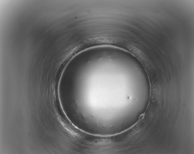 X0000080130398200612151744