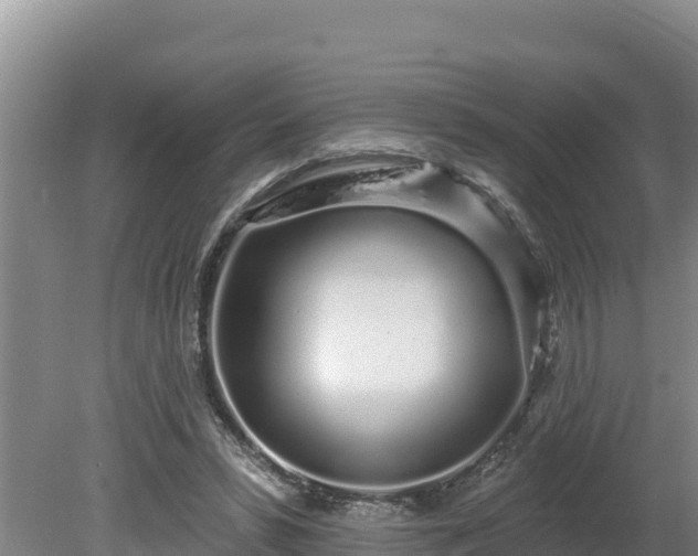 X0000080130399200612151744