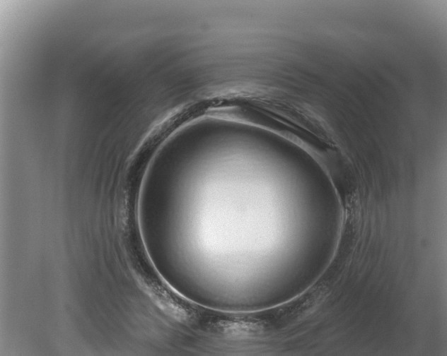 X0000080130400200612151744