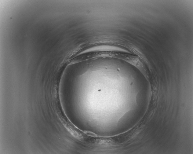 X0000080130401200612151744