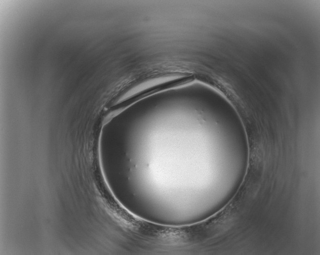 X0000080130402200612151744