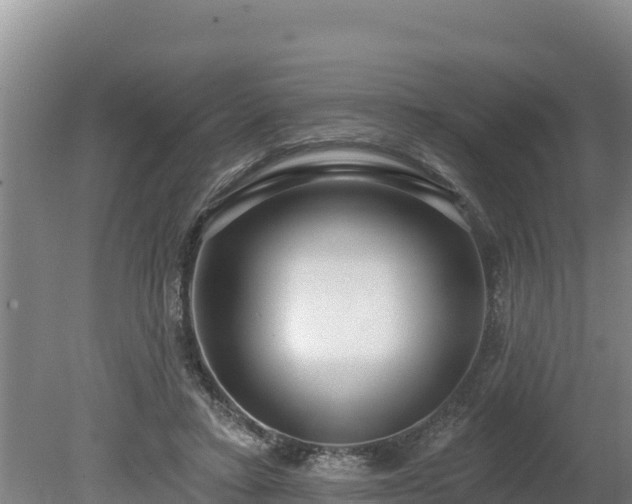 X0000080130403200612151744