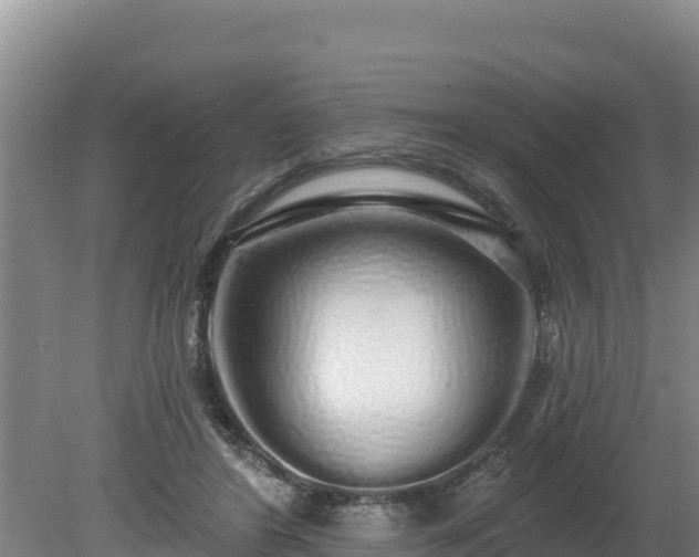 X0000080130404200612151744