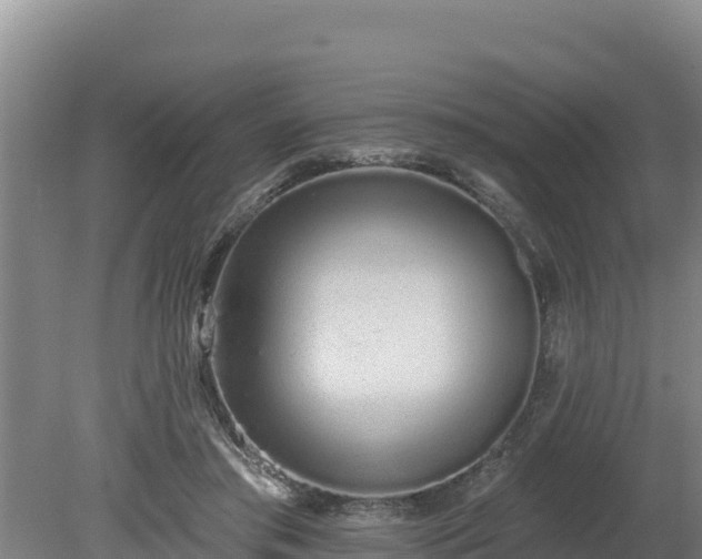 X0000080130405200612151744