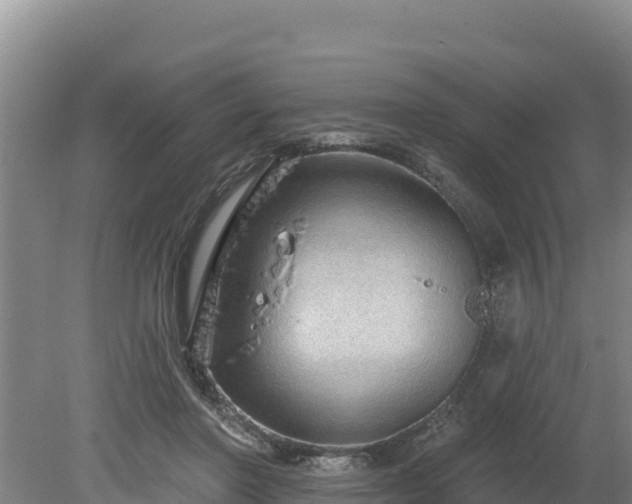 X0000080130406200612151744