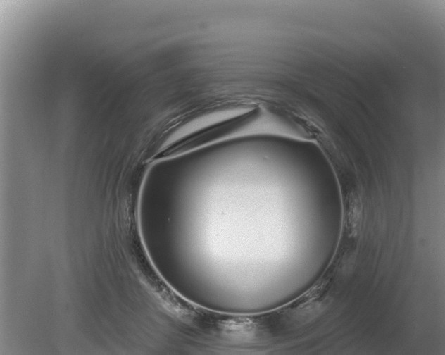 X0000080130410200612151743