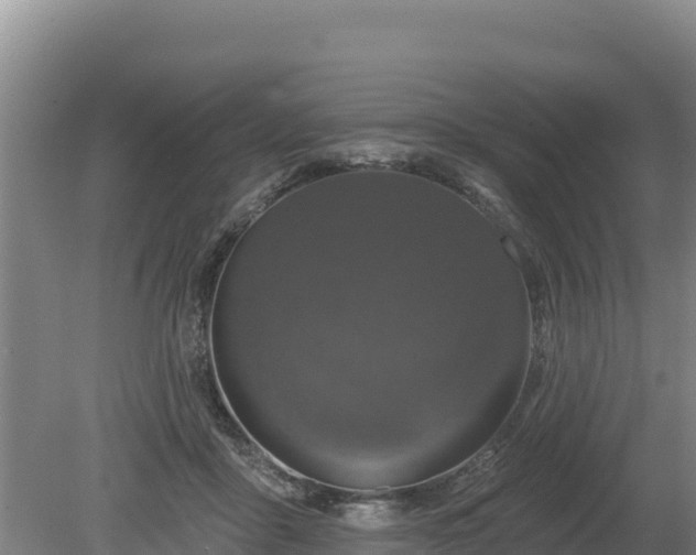 X0000080130411200612151743