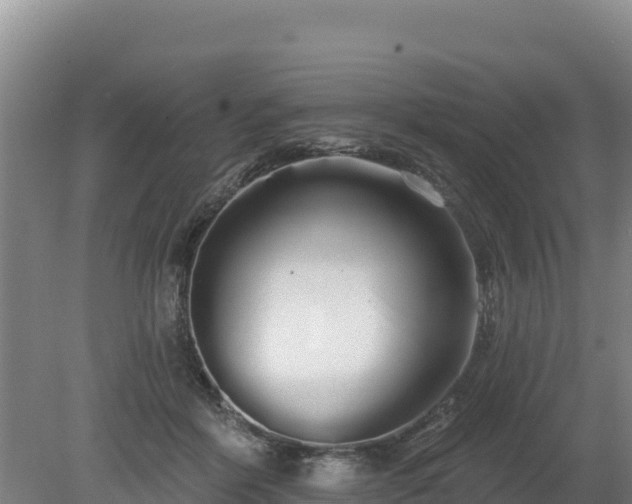 X0000080130412200612151743