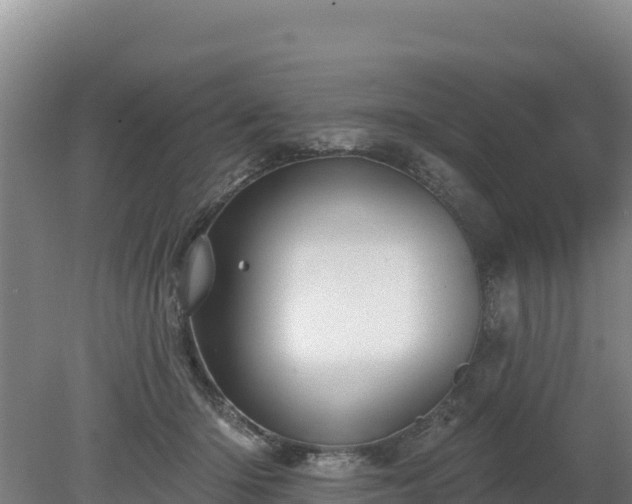 X0000080130414200612151743