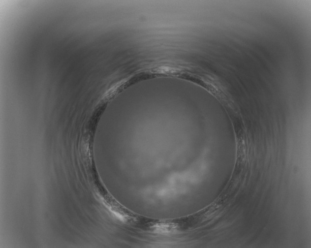 X0000080130415200612151743