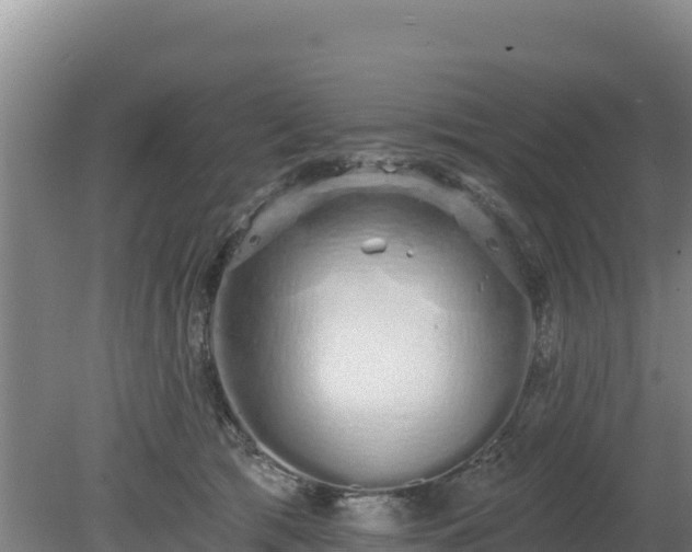 X0000080130417200612151743