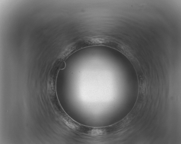 X0000080130418200612151743