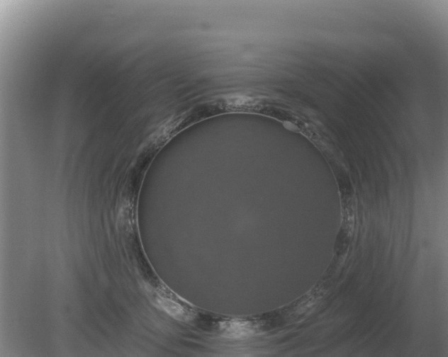 X0000080130419200612151743