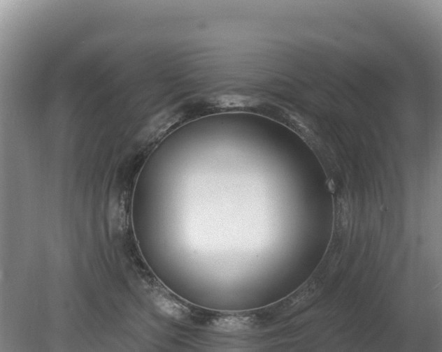 X0000080130422200612151743