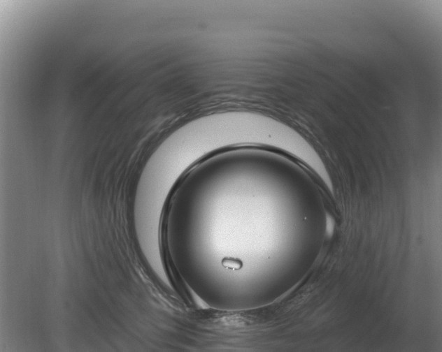 X0000080130423200612151743